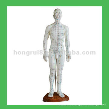 Corps chinois de l&#39;acupuncture des hommes Points 50cm Modèle d&#39;acupuncture